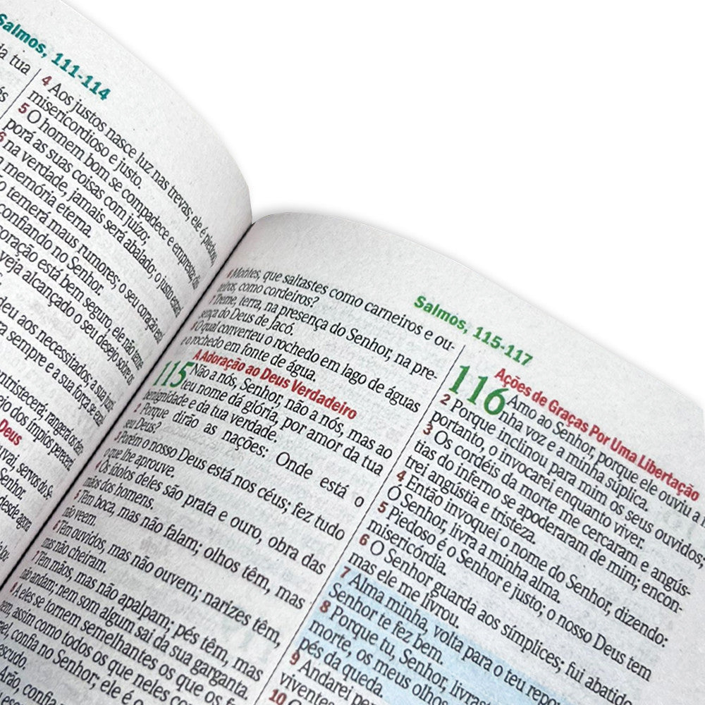Biblia Letra Grande C/harpa E Botão - Floral E Rosa